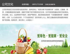 城市速食新趋势 解析昆山快餐与苏州名洋餐饮服务的发展之道